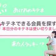 ヒメ日記 2026/01/01 20:13 投稿 ツバキ ピカソ