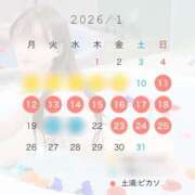 ヒメ日記 2026/01/03 14:47 投稿 ツバキ ピカソ