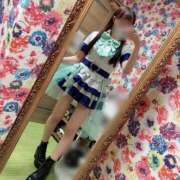 ヒメ日記 2026/01/10 13:04 投稿 ツバキ ピカソ