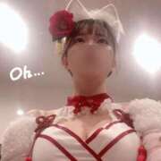 ヒメ日記 2026/01/11 10:27 投稿 ツバキ ピカソ