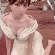 ヒメ日記 2026/01/11 18:02 投稿 ツバキ ピカソ