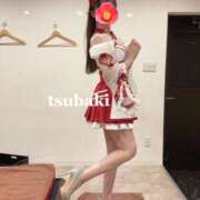 ヒメ日記 2026/01/17 16:01 投稿 ツバキ ピカソ