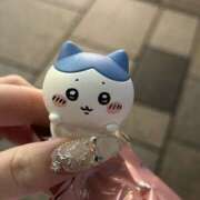 オリーブ 28日から 飾窓