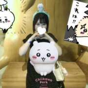 オリーブ 次回シフト 飾窓