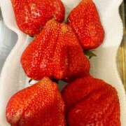 ヒメ日記 2026/02/12 13:12 投稿 苺(いちご) カリビアンマッサージ 天使のゆびさき 岡山店