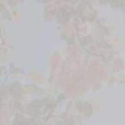 ヒメ日記 2025/10/19 12:20 投稿 りよ Beppin house