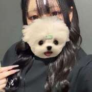 ヒメ日記 2025/10/10 14:52 投稿 もえの ホワイトハウス