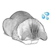 ヒメ日記 2025/10/23 12:41 投稿 ゆあ 東京♂風俗の神様 町田・相模原店