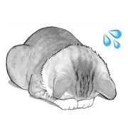 ヒメ日記 2025/10/29 12:21 投稿 ゆあ 東京♂風俗の神様 町田・相模原店