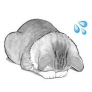 ヒメ日記 2025/11/08 17:02 投稿 ゆあ 東京♂風俗の神様 町田・相模原店