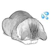 ゆあ ごめんなさい💦 東京♂風俗の神様 町田・相模原店