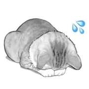 ヒメ日記 2026/02/08 13:31 投稿 ゆあ 東京♂風俗の神様 町田・相模原店