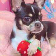 ヒメ日記 2025/10/20 20:46 投稿 ローラ★ Club夢