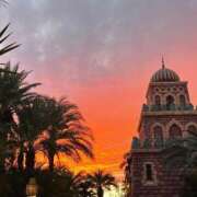 ヒメ日記 2025/11/03 11:06 投稿 ローラ★ Club夢