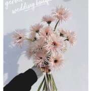 ヒメ日記 2026/01/20 15:39 投稿 このか 大阪和泉ちゃんこ