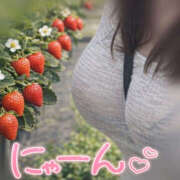 ヒメ日記 2026/02/26 22:39 投稿 このか 大阪和泉ちゃんこ