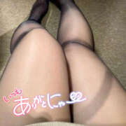 ヒメ日記 2026/03/07 10:39 投稿 このか 大阪和泉ちゃんこ