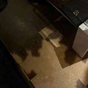 ヒメ日記 2026/02/14 07:06 投稿 笹原 まゆな Canx2 谷九日本橋店