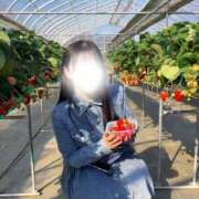 ヒメ日記 2026/02/18 19:26 投稿 笹原 まゆな Canx2 谷九日本橋店