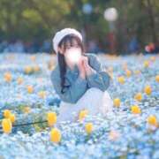 ヒメ日記 2026/04/07 11:43 投稿 笹原 まゆな Canx2 谷九日本橋店