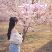 ヒメ日記 2026/04/18 08:13 投稿 笹原 まゆな Canx2 谷九日本橋店