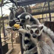 ヒメ日記 2025/11/09 21:52 投稿 れむ アラカルト