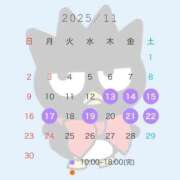 ヒメ日記 2025/11/11 18:06 投稿 れむ アラカルト