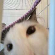 ヒメ日記 2025/10/13 16:42 投稿 ひめな マリン千葉店