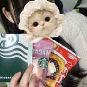 ヒメ日記 2025/11/19 10:29 投稿 あいす 錦糸町ちゃんこ