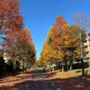 ヒメ日記 2025/11/10 14:29 投稿 ひかる 千葉中央人妻援護会