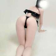 ヒメ日記 2025/10/10 16:44 投稿 桜庭なな ブルーバード