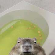 ヒメ日記 2025/12/29 02:49 投稿 れね 帯広黒い金魚