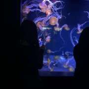 ヒメ日記 2025/10/08 18:15 投稿 くれあ 市原五井蘇我ちゃんこ