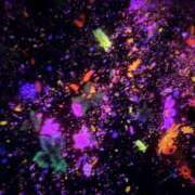 くれあ 出勤！ 市原五井蘇我ちゃんこ