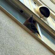 しいな 本日土浦滞在最終日でした 土浦ハッピーマットパラダイス