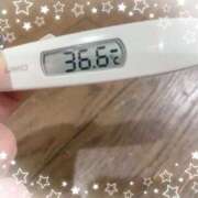 ヒメ日記 2025/10/10 14:27 投稿 アイカ(奥方) 奥様幕府