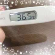 ヒメ日記 2025/10/12 14:37 投稿 アイカ(奥方) 奥様幕府