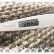 ヒメ日記 2025/11/10 12:17 投稿 アイカ(奥方) 奥様幕府