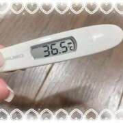 ヒメ日記 2025/11/11 14:17 投稿 アイカ(奥方) 奥様幕府