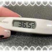 ヒメ日記 2025/11/13 12:47 投稿 アイカ(奥方) 奥様幕府