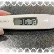 ヒメ日記 2025/11/16 11:57 投稿 アイカ(奥方) 奥様幕府