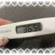 ヒメ日記 2025/11/18 14:07 投稿 アイカ(奥方) 奥様幕府