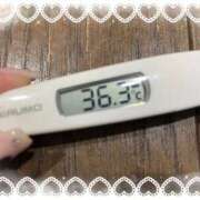 ヒメ日記 2025/11/19 13:57 投稿 アイカ(奥方) 奥様幕府