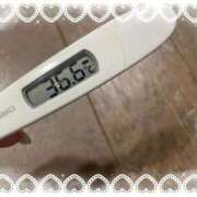 ヒメ日記 2025/12/12 12:07 投稿 アイカ(奥方) 奥様幕府