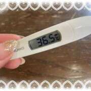 ヒメ日記 2025/12/17 15:02 投稿 アイカ(奥方) 奥様幕府