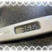 ヒメ日記 2025/12/18 14:07 投稿 アイカ(奥方) 奥様幕府