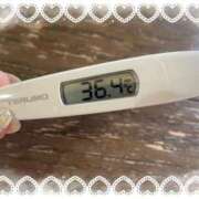 ヒメ日記 2025/12/22 13:57 投稿 アイカ(奥方) 奥様幕府