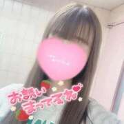 ヒメ日記 2026/02/03 17:57 投稿 アイカ(奥方) 奥様幕府