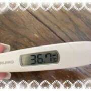 ヒメ日記 2026/02/12 14:37 投稿 アイカ(奥方) 奥様幕府