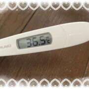 ヒメ日記 2026/03/09 14:43 投稿 アイカ(奥方) 奥様幕府